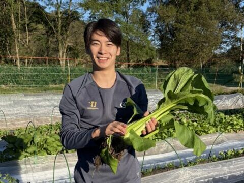 REHファーム野菜即売会